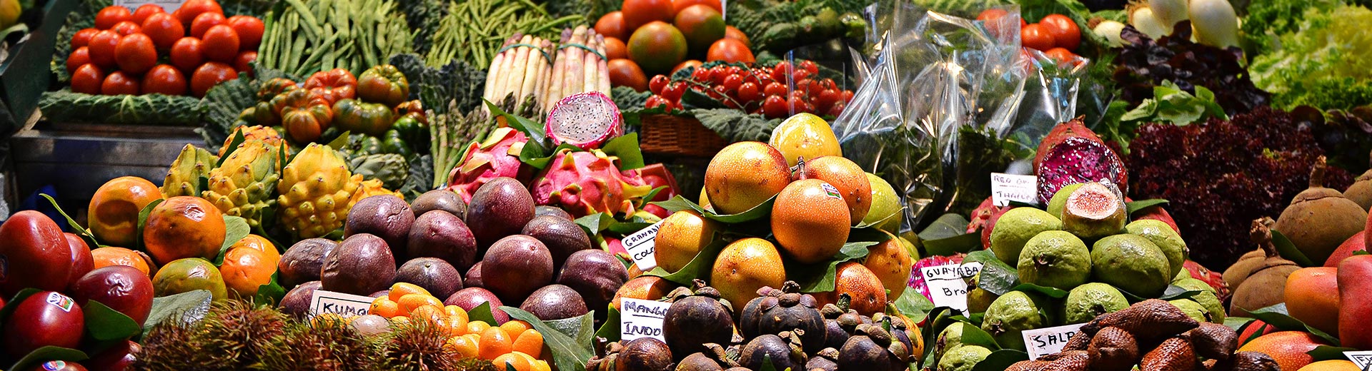 Peter Gehlmann Ernährungsumstellung Hashimoto