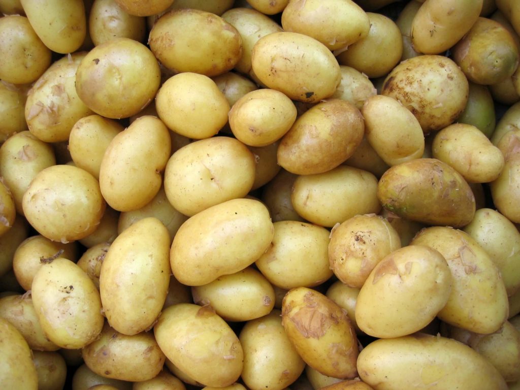 Kartoffel und ihre Eigenschaften - ist die Kartoffel gesund?